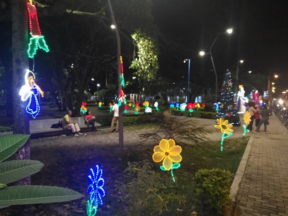 La Ciudad Señora se iluminó con el alumbrado navideño La Ciudad Señora se iluminó con el alumbrado navideño