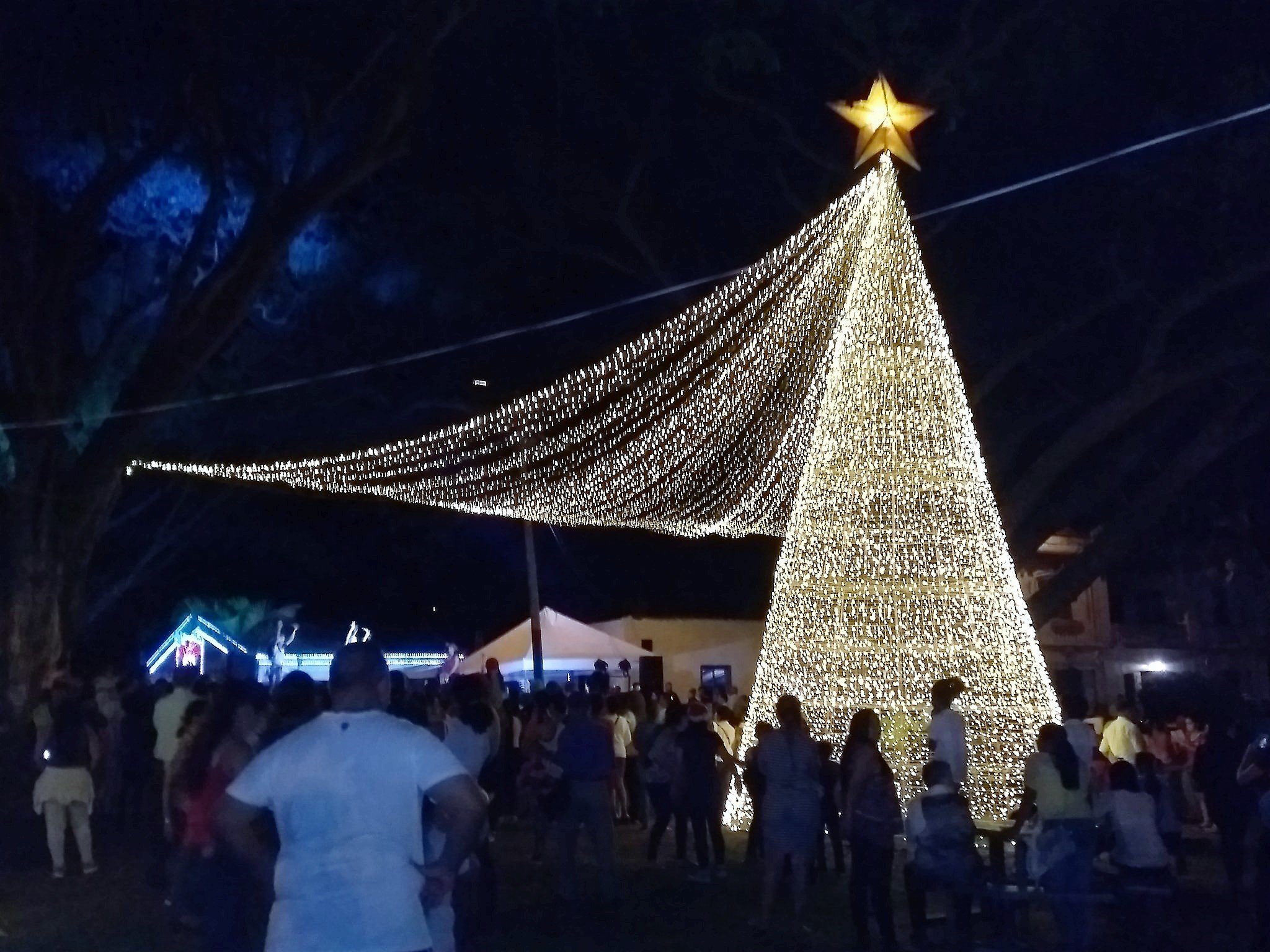 La Ciudad Señora se iluminó con el alumbrado navideño La Ciudad Señora se iluminó con el alumbrado navideño