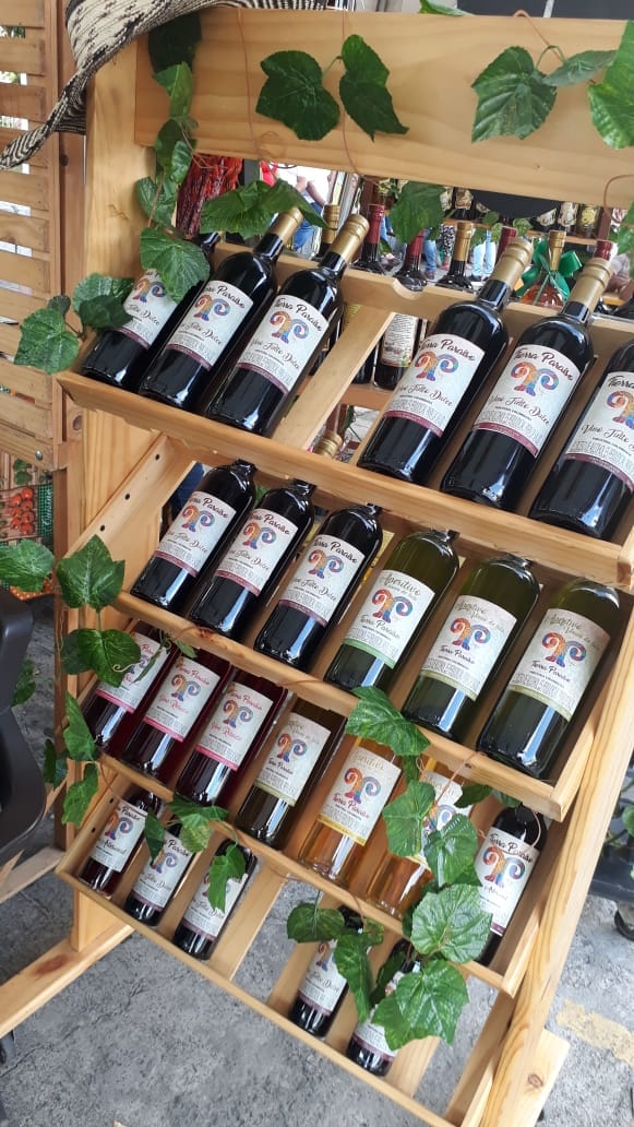  Feria  de la Uva Isabela en su versión 60,concluyó con gran afluencia de propios y turistas en el Corregimiento de Santa Helena en El Cerrito