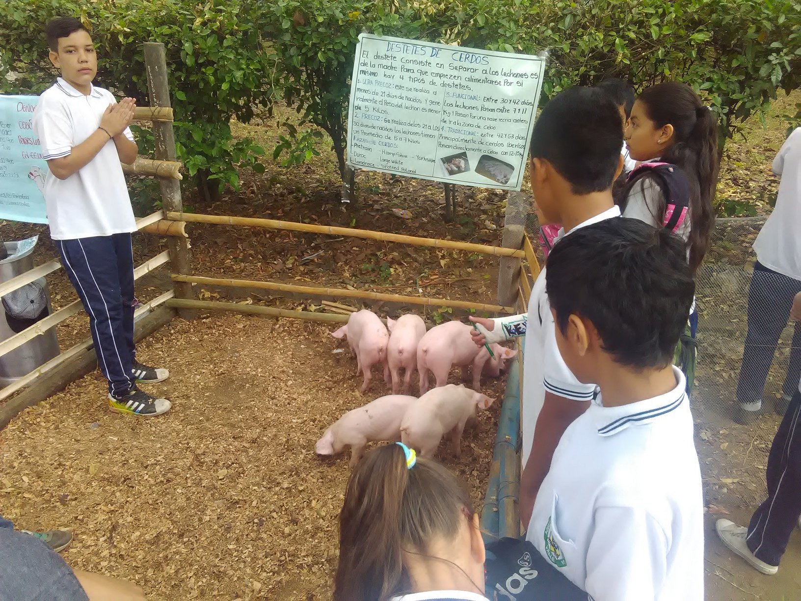 De nuevo ExpogranjITA en Buga este 25 de Septiembre