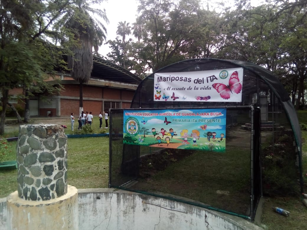 “Mariposas del Ita al rescate de la vida”.  Un proyecto con el poder de transformar una comunidad  educativa 