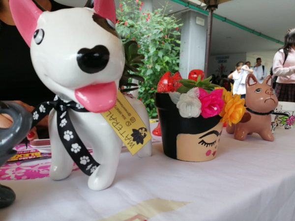 Emprendedores se forman para la vida en Institución Educativa Agrícola ITA de Buga