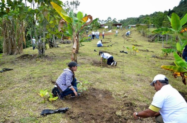 "Hay que blindar a las CAR de la politiquería"