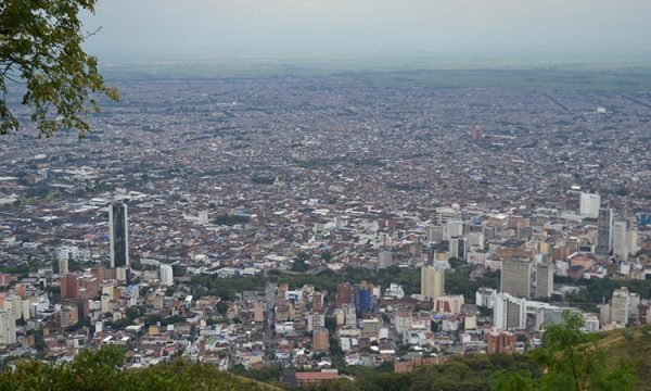 Ambientalistas de cali