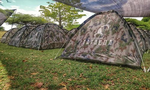 Celebraciones, fechas y fiestas en Octubre