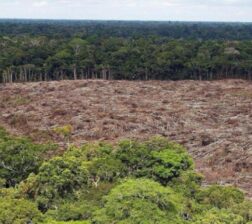 POR PRIMERA VEZ SE IMPUTAN CARGOS POR DELITO AMBIENTAL EN COLOMBIA