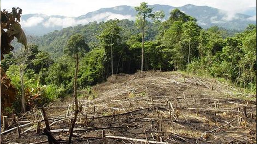 Por primera vez en Colombia, agua, biodiversidad y medio ambiente, declarados asuntos de seguridad nacional