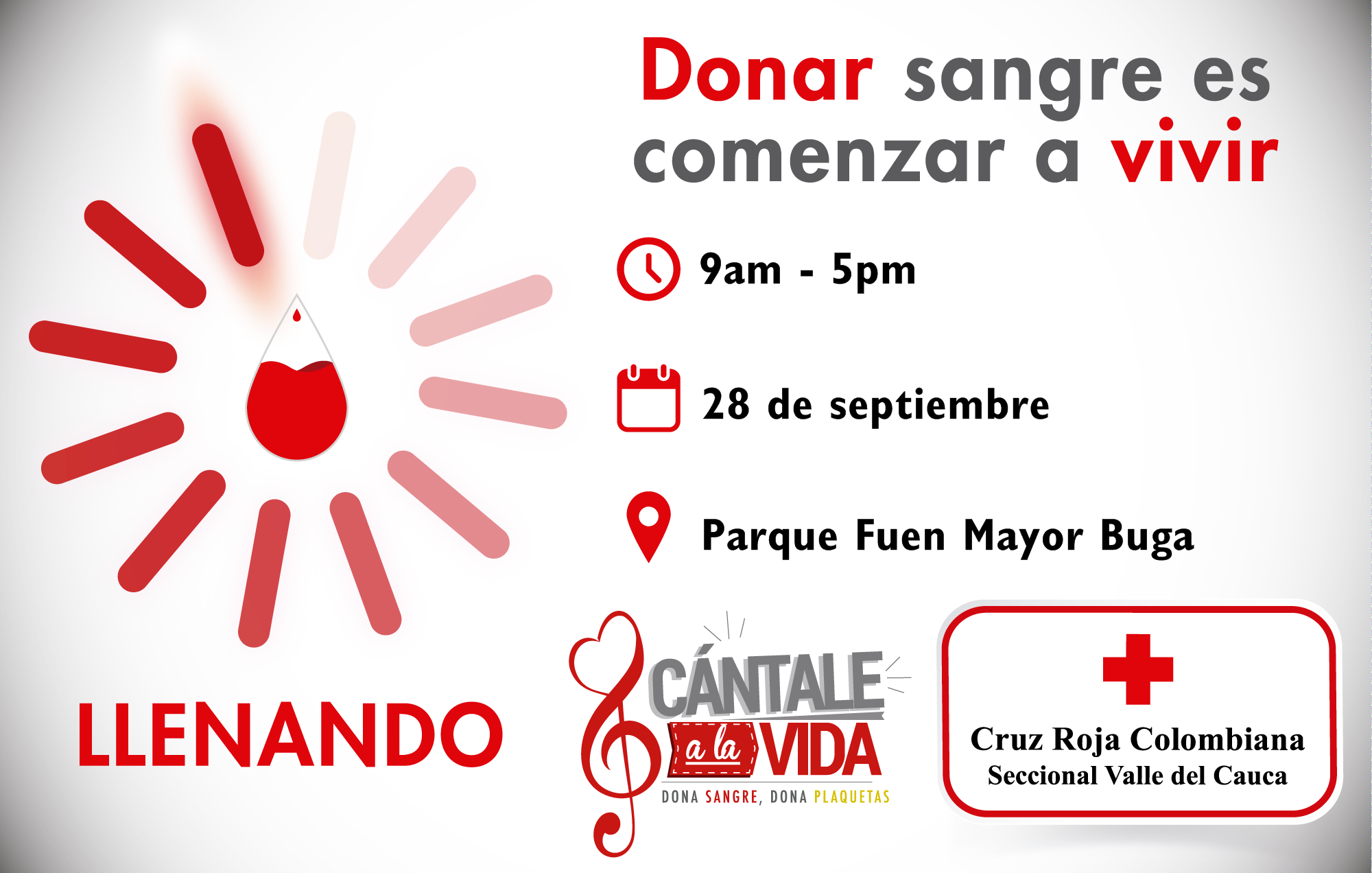 Gran donatón de sangre de la Cruz Roja Valle en Buga Gran donatón de sangre de la Cruz Roja Valle en Buga
