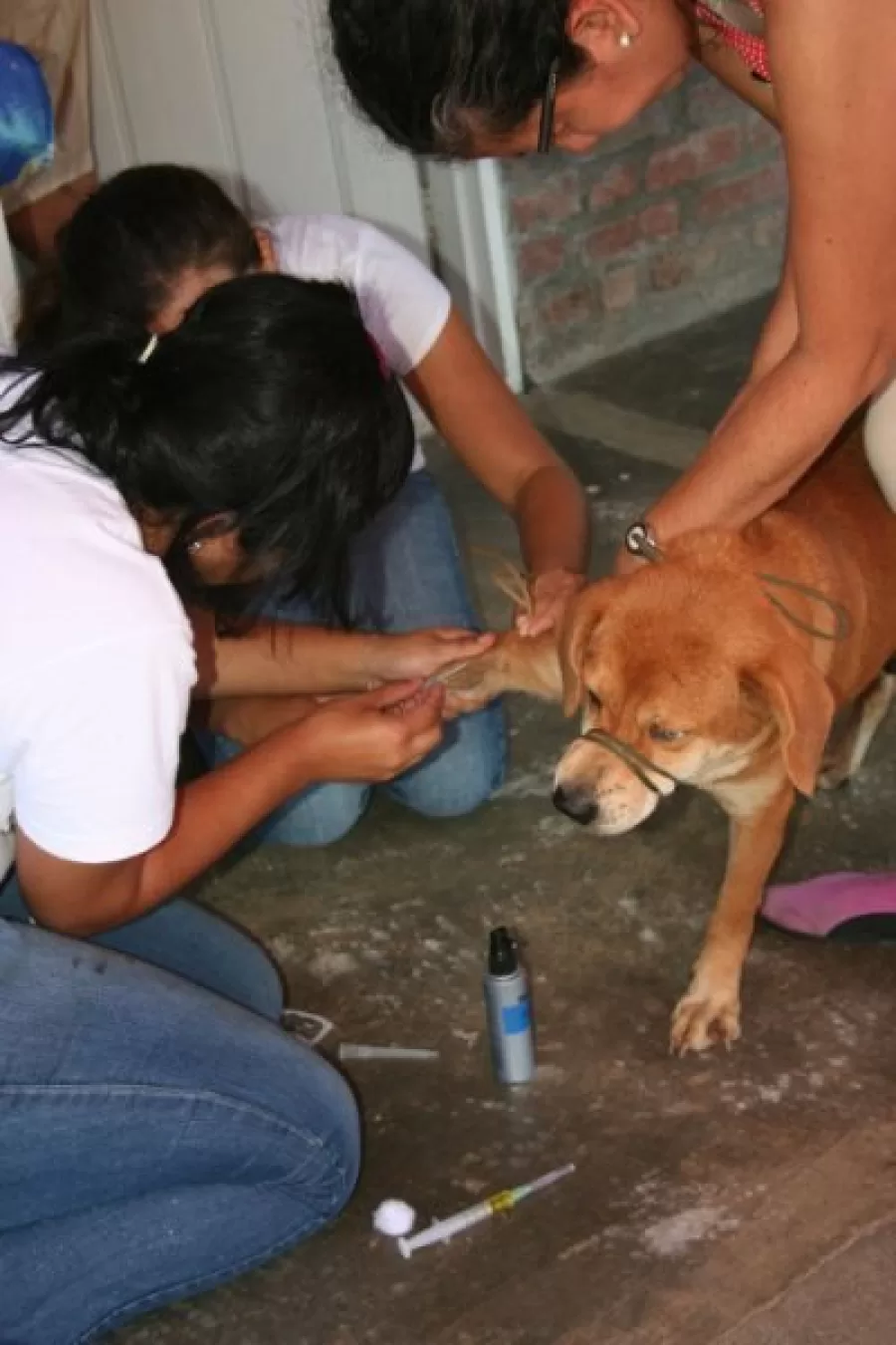 Edgar Tascón, el gran  padre protector de los animales desamparados