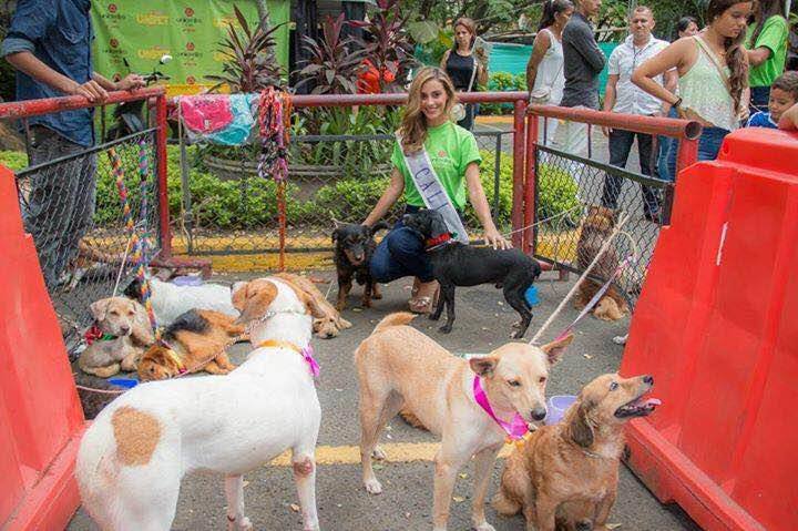 Edgar Tascón, el gran padre protector de los animales desamparados Edgar Tascón, el gran padre protector de los animales desamparados