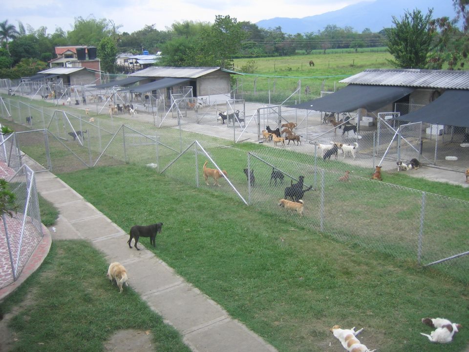 Edgar Tascón, el gran padre protector de los animales desamparados Edgar Tascón, el gran padre protector de los animales desamparados