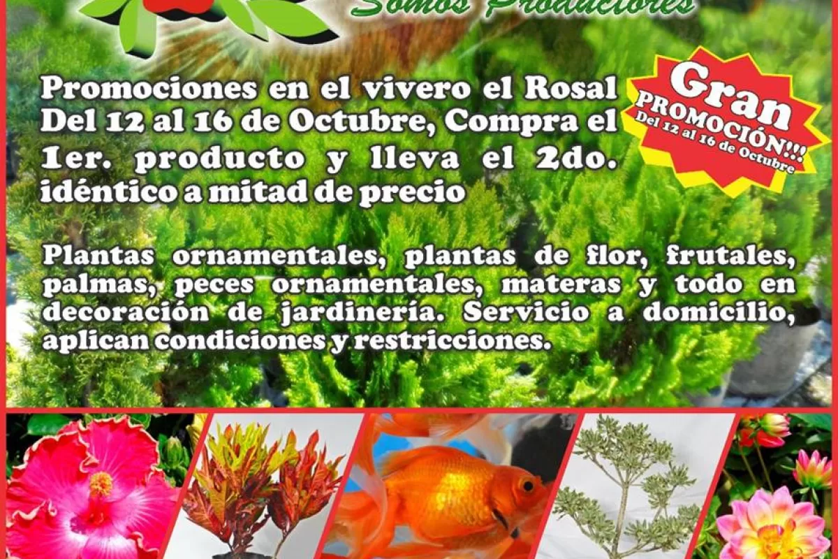 Vivero El Rosal Tuluá; de Promoción este fin de Semana