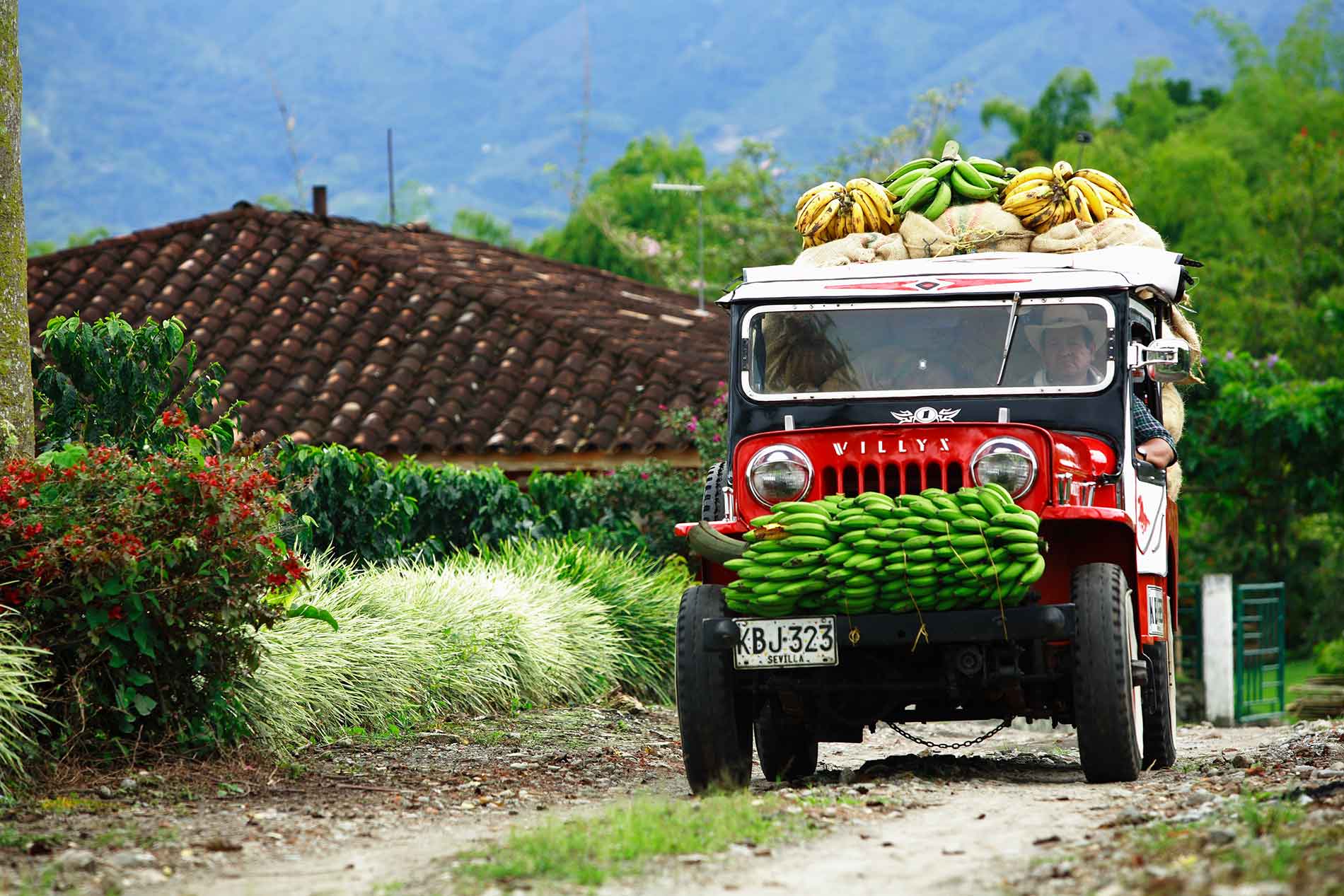 Paisaje Cultural Cafetero exige compromiso Paisaje Cultural Cafetero exige compromiso