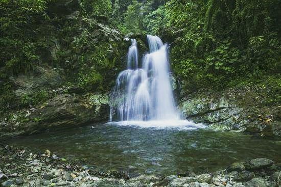 Política de crecimiento verde plantea acciones para armonizar desarrollo con protección de los recursos naturales Política de crecimiento verde plantea acciones para armonizar desarrollo con protección de los recursos naturales