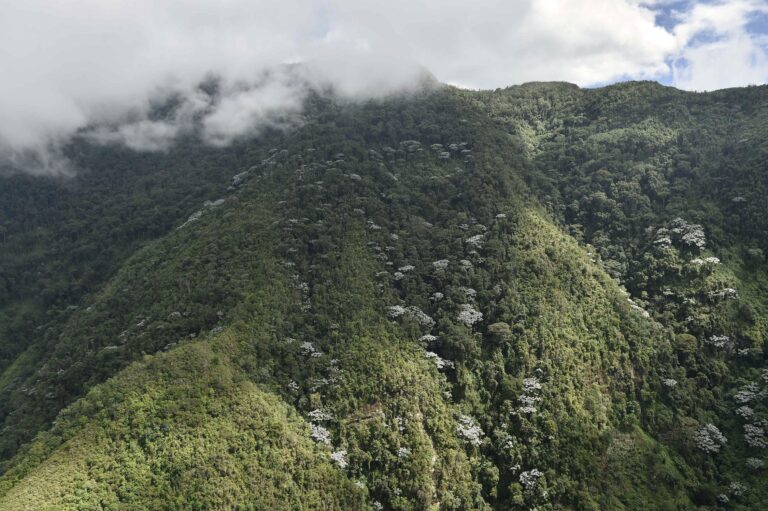 Colombia completa 30 páramos delimitados para proteger medio ambiente