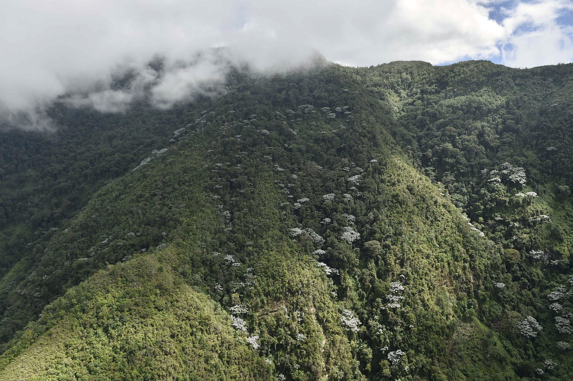 Colombia completa 30 páramos delimitados para proteger medio ambiente Colombia completa 30 páramos delimitados para proteger medio ambiente