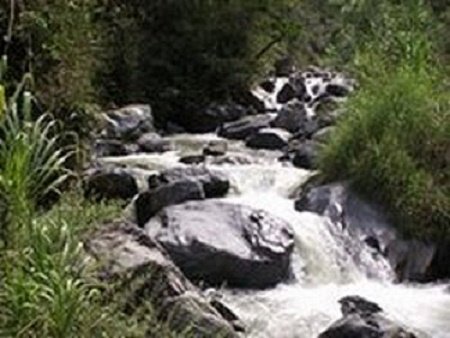 Alcalde de Guacarí  Gerardo Salcedo compra predio para conservación del agua de su municipio