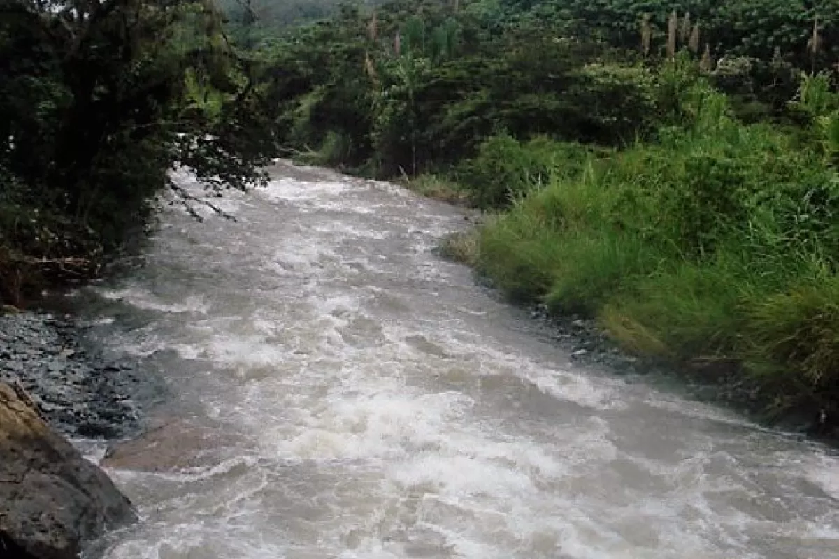 Valle del Cauca busca disminuir deficit de predios para conservación del agua Valle del Cauca busca disminuir deficit de predios para conservación del agua
