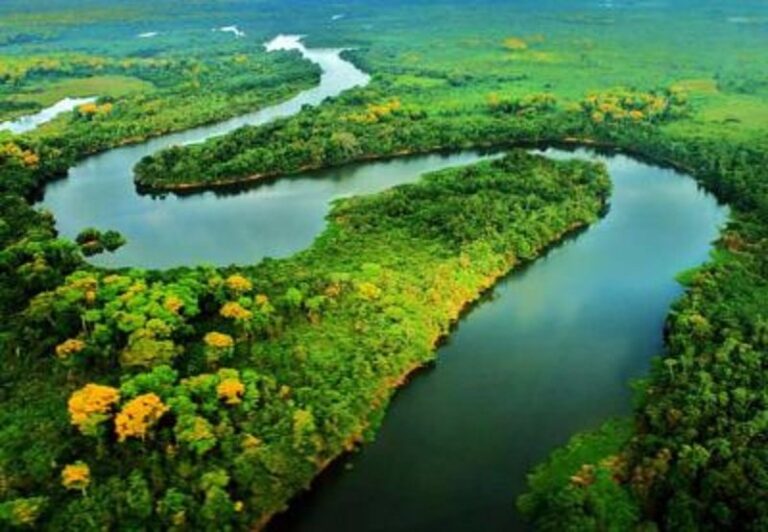 Ecuador se une a iniciativa colombiana para proteger el Amazonas