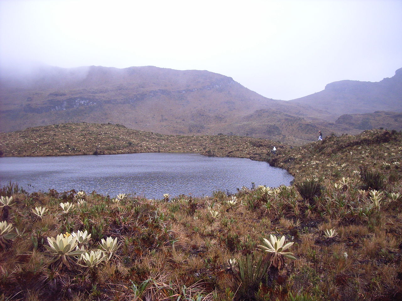 Se lanza plan para proteger "Macizo Colombiano", la mayor fábrica de agua de Colombia