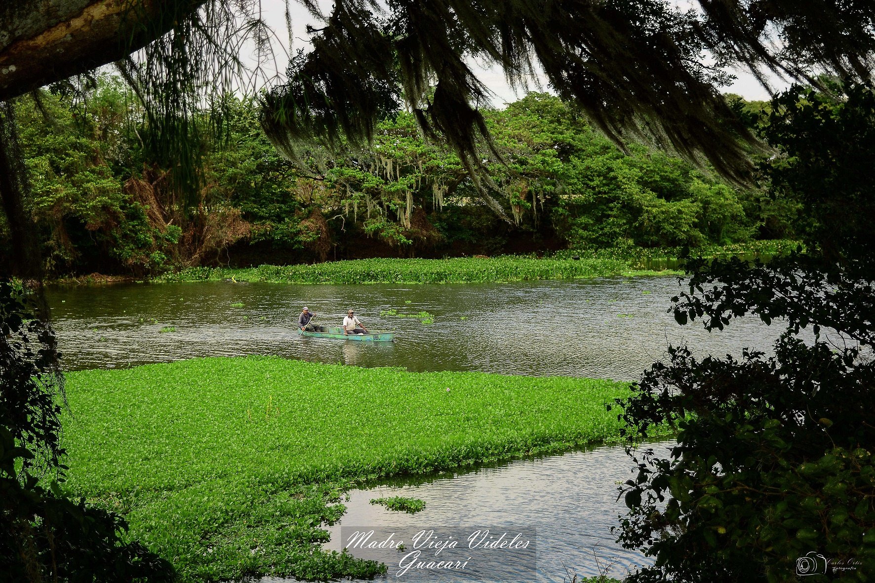 Política de crecimiento verde plantea acciones para armonizar desarrollo con protección de los recursos naturales Política de crecimiento verde plantea acciones para armonizar desarrollo con protección de los recursos naturales