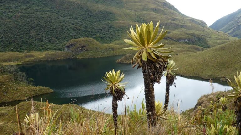 Turismo ambiental en el Páramo de las Hermosas se proyecta en Buga y otras noticias Turismo ambiental en el Páramo de las Hermosas se proyecta en Buga y otras noticias