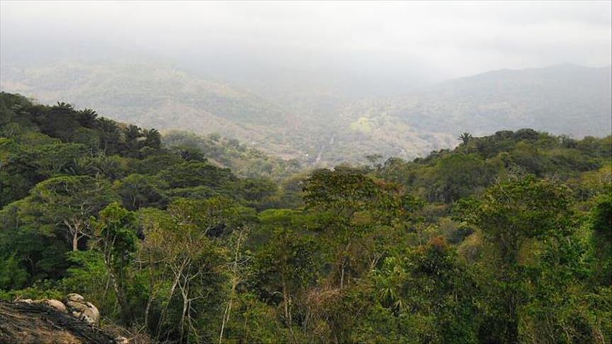 Predios del Parque Nacional Natural Tayrona son recuperados