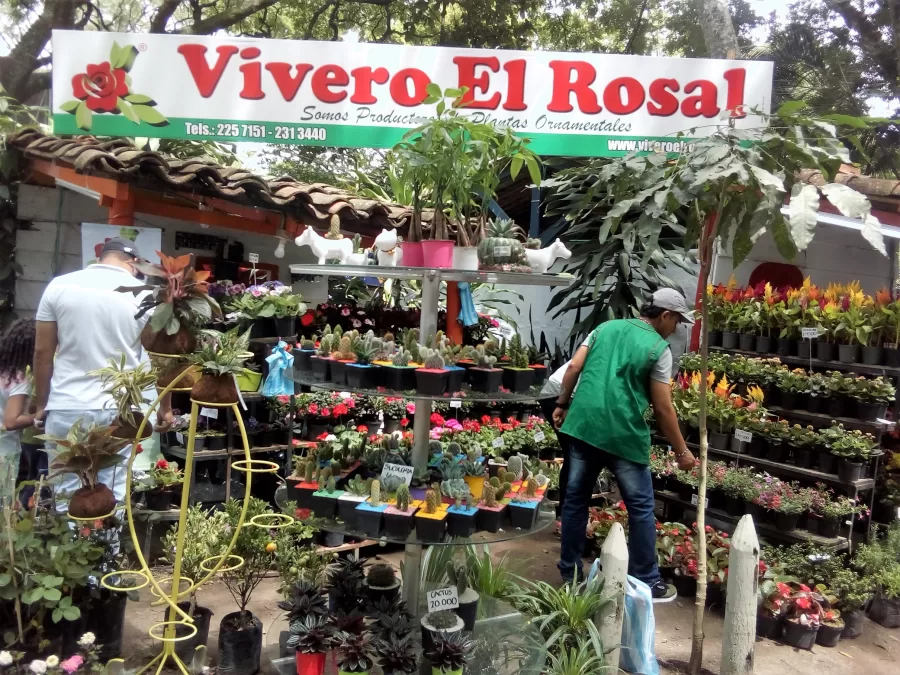 Como una Feria de la Familia concluyó la 63 Feria de Tuluá Como una Feria de la Familia concluyó la 63 Feria de Tuluá