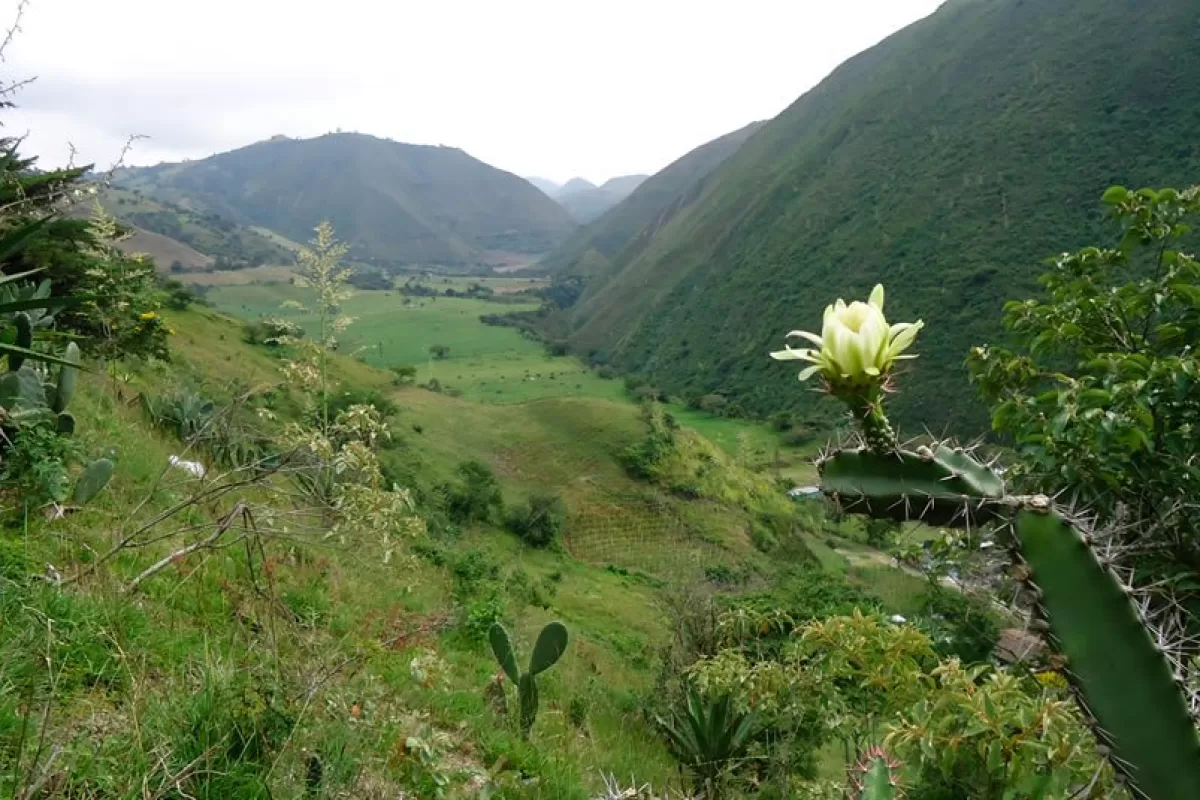 “A la definición de la Frontera Agrícola se le agregará  garrote contra las mafias y usurpadores de tierras”, dice Gobierno Nacional