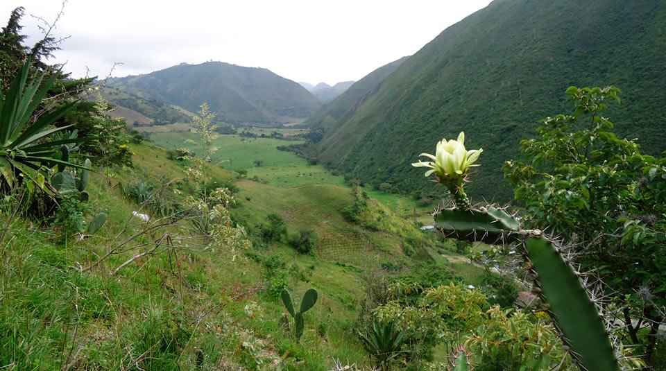 “A la definición de la Frontera Agrícola se le agregará  garrote contra las mafias y usurpadores de tierras”, dice Gobierno Nacional