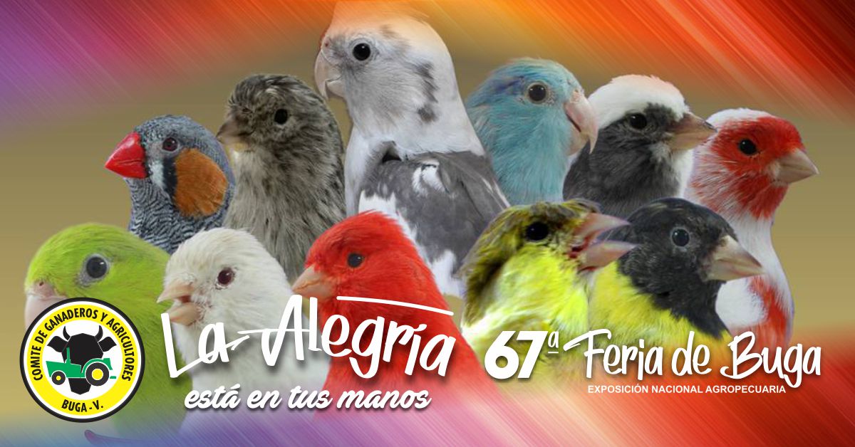 Esta es la programación de la Feria de Buga versión 67 Esta es la programación de la Feria de Buga versión 67