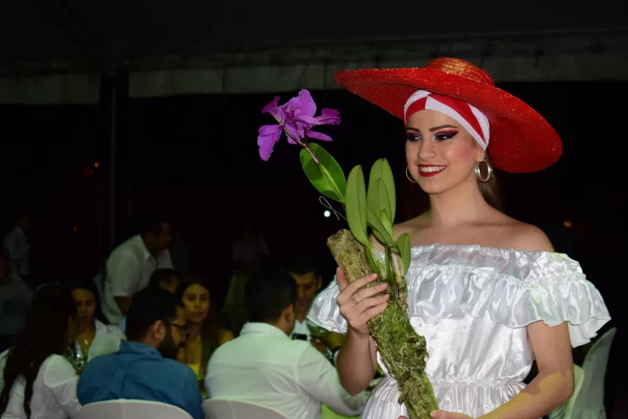 Esta es la programación de la Feria de Buga versión 67