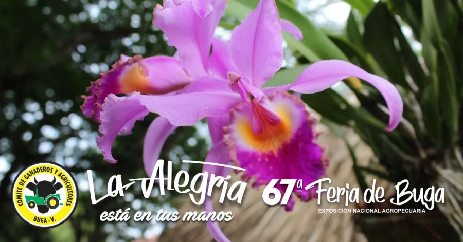 Esta es la programación de la Feria de Buga versión 67