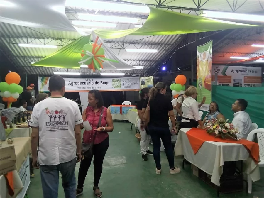 Imágenes de lo vivido en la Feria 67 de Buga Imágenes de lo vivido en la Feria 67 de Buga