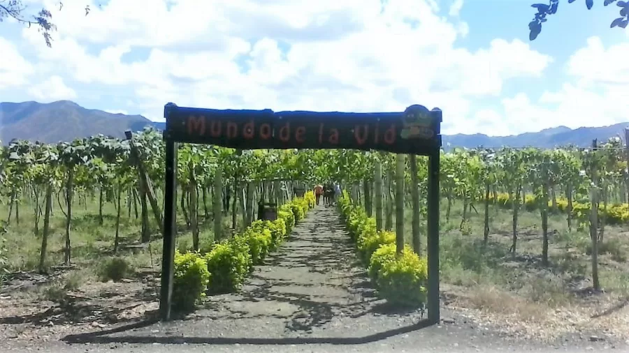 Al Parque de la Uva en el norte del Valle llega la Revista Imagen De Los Vallecaucanos Región Pacífico