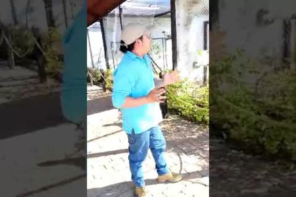 Al Parque de la Uva en el norte del Valle llega la Revista Imagen De Los Vallecaucanos Región Pacífico