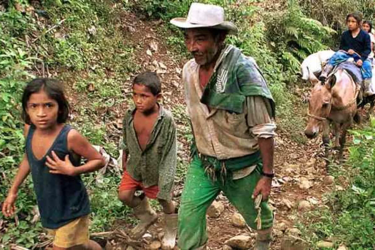 En Cartago víctimas de despojo y abandono forzoso recibirán restitución de tierras. En Cartago víctimas de despojo y abandono forzoso recibirán restitución de tierras.