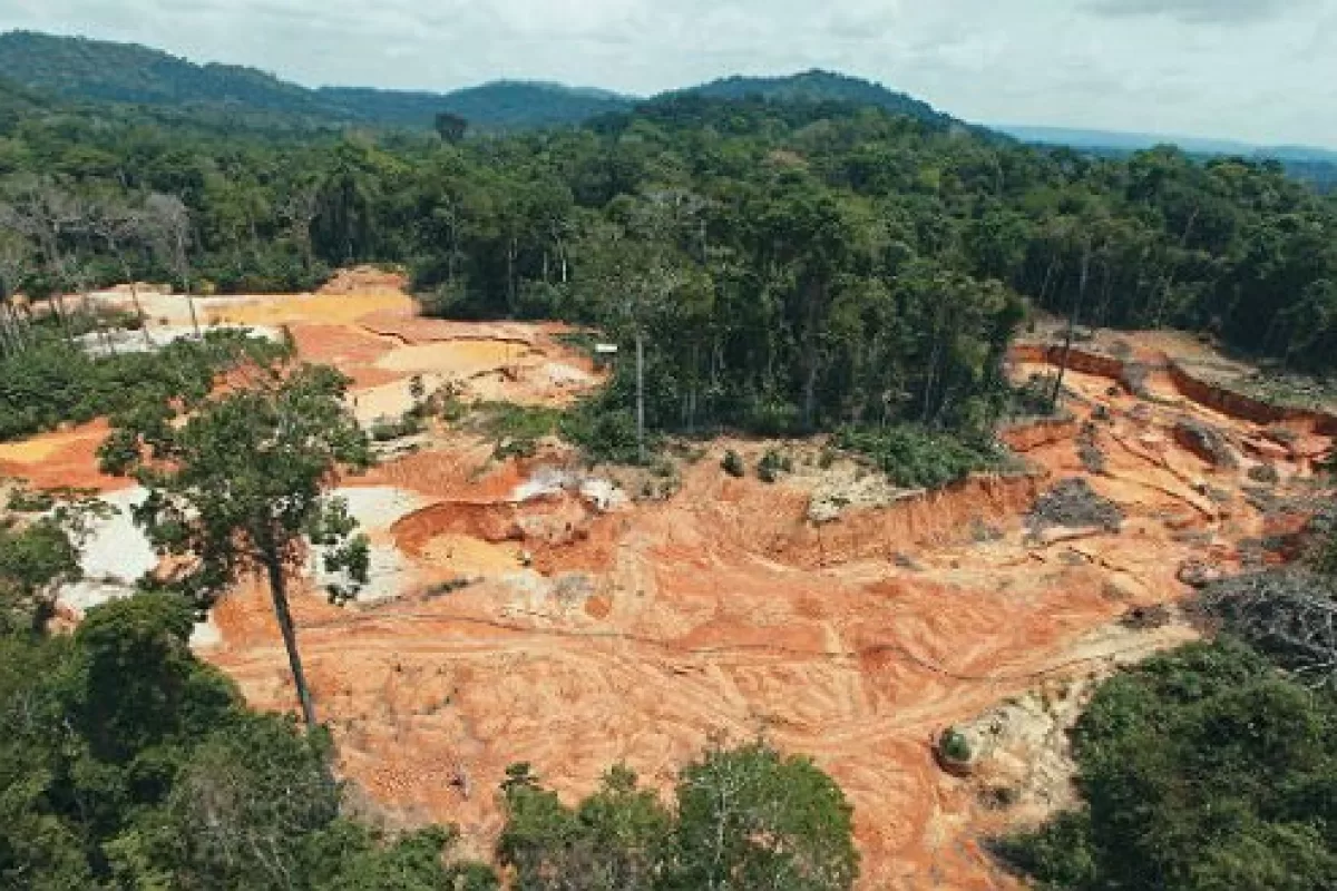Medio ambiente