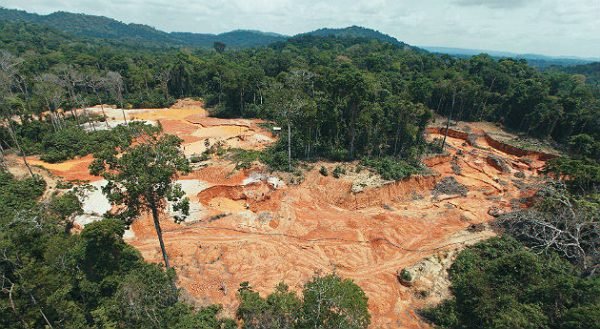 Medio ambiente