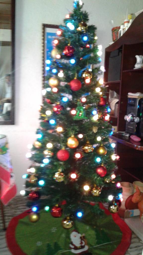 Se iluminó diciembre con las luces de Navidad Se iluminó diciembre con las luces de Navidad