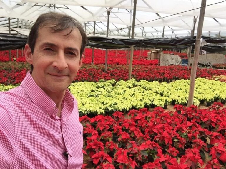 Plantas vivas y orquídeas se salvan del IVA