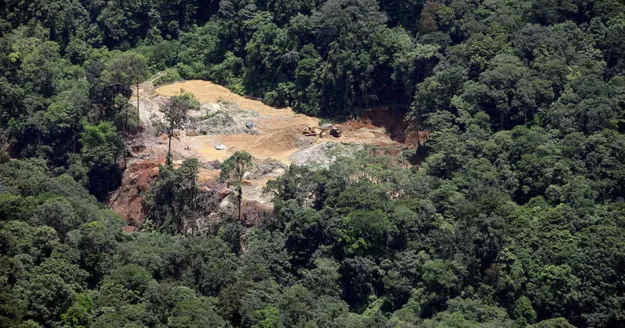 Alrededor de 200 mil hectáreas anuales de bosque perdió Colombia en la última década Alrededor de 200 mil hectáreas anuales de bosque perdió Colombia en la última década