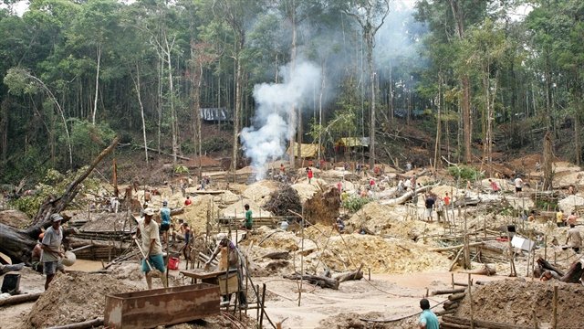 Alrededor de 200 mil hectáreas anuales de bosque perdió Colombia en la última década Alrededor de 200 mil hectáreas anuales de bosque perdió Colombia en la última década