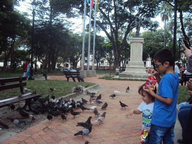 Parque José María Cabal de Buga se reabre al público Parque José María Cabal de Buga se reabre al público