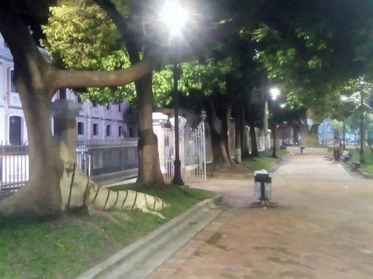 Parque José María Cabal, una de las mejores imágenes para llevar de Buga Parque José María Cabal, una de las mejores imágenes para llevar de Buga