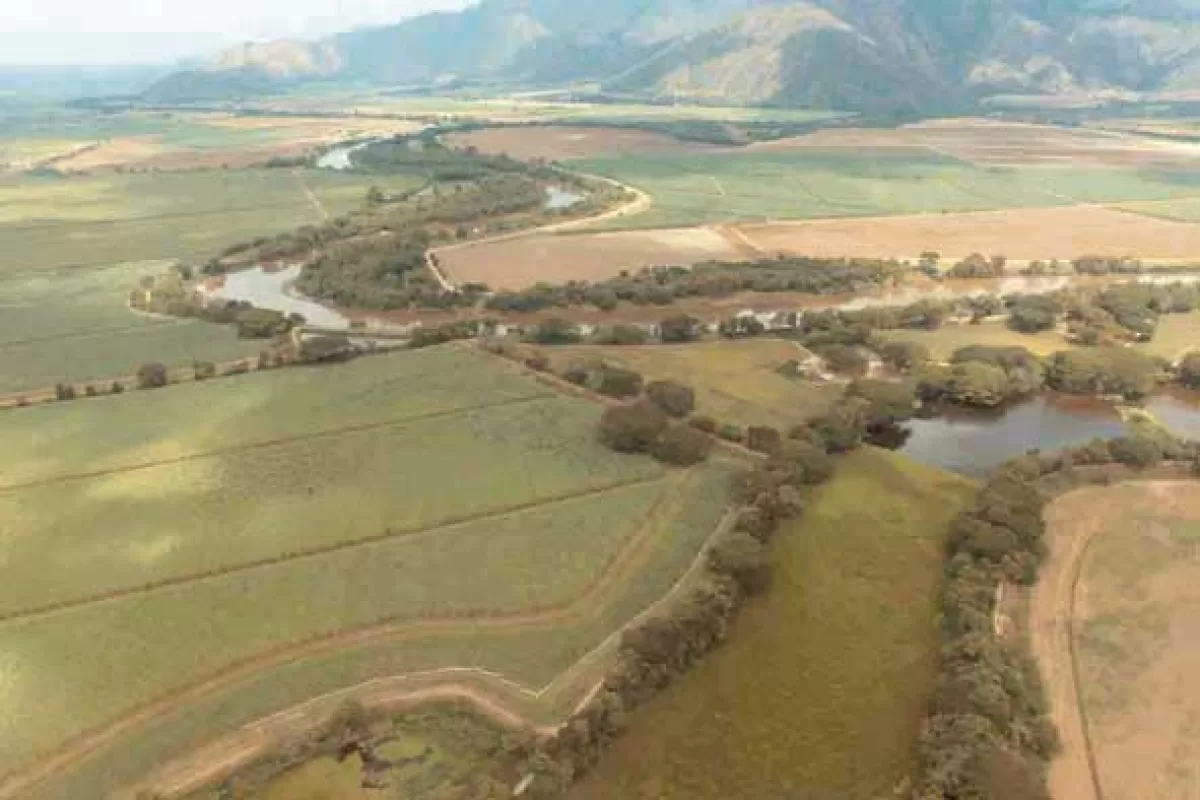 SOS Los suelos del Valle del Cauca. En menos de 50 años el Valle amenaza terminar como un desierto SOS Los suelos del Valle del Cauca. En menos de 50 años el Valle amenaza terminar como un desierto