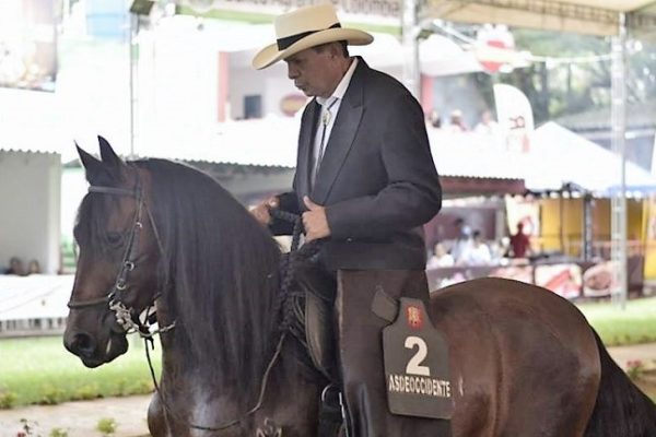 Centro del Valle se viene de fiesta con la feria de Tuluá y de Buga