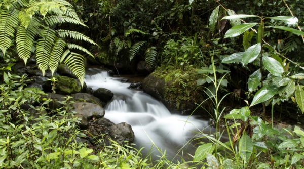 Alerta con el agua en Colombia Alerta con el agua en Colombia