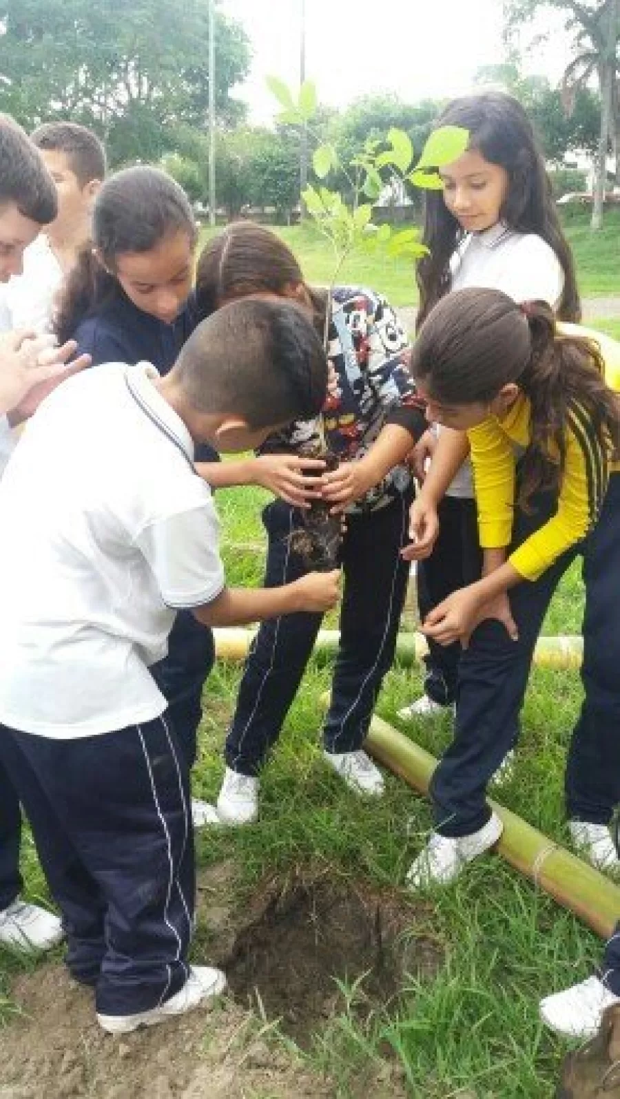 Medio ambiente gran ganador en Olimpiadas de Institución Educativa Agrícola de Buga Medio ambiente gran ganador en Olimpiadas de Institución Educativa Agrícola de Buga