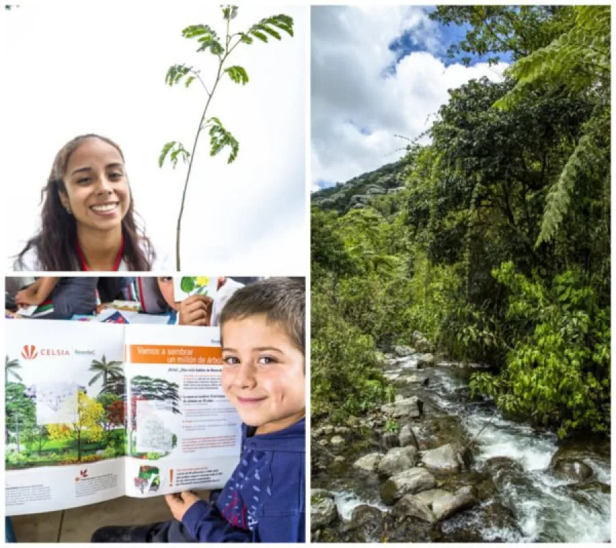 Premio Nacional de Ecología Planeta Azul a Celsia y su programa ReverdeC Premio Nacional de Ecología Planeta Azul a Celsia y su programa ReverdeC